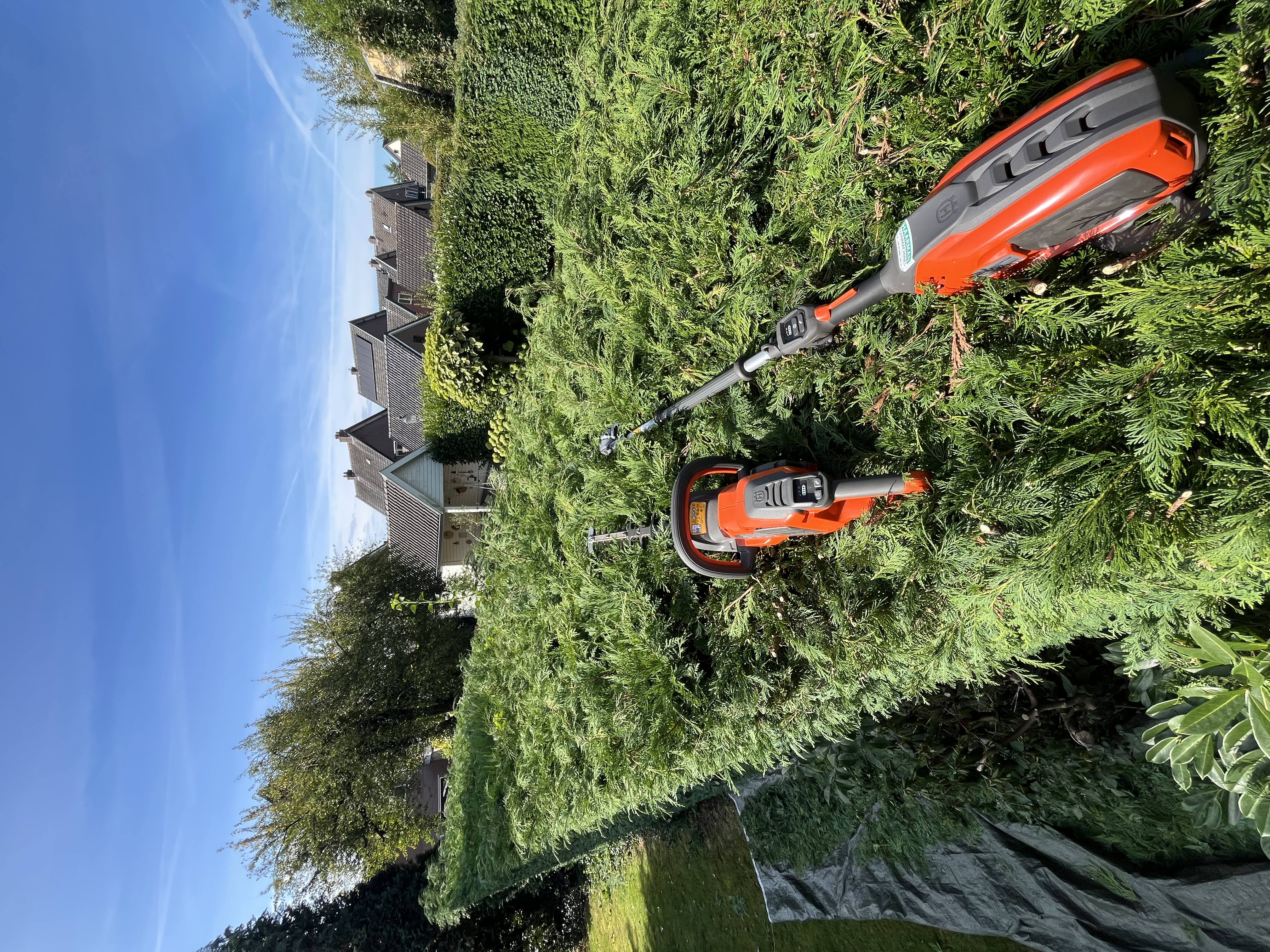 Heg knippen met professioneel gereedschap — Westhuis Tuinen